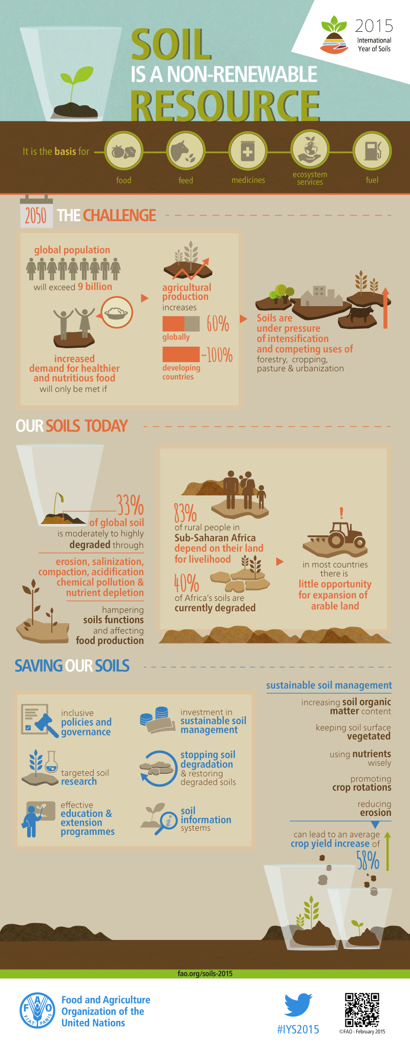 fao-infographic-iys2015-fs1-en