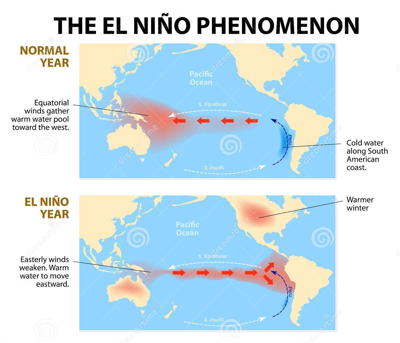 el-nino-phenomenon-diagram-shows-nio-disruption-ocean-atmosphere-system-pacific-ocean-having-36243049