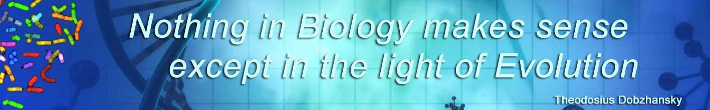 MoZoo Lab – Mitogenomics and Evolution